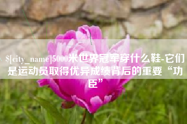 烟台5000米世界冠军穿什么鞋-它们是运动员取得优异成绩背后的重要“功臣”