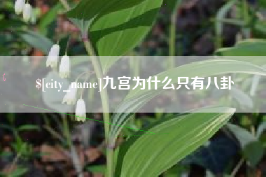 烟台九宫为什么只有八卦