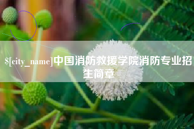 烟台中国消防救援学院消防专业招生简章