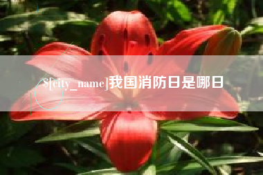 烟台我国消防日是哪日