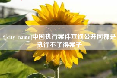 烟台中国执行案件查询公开网都是执行不了得案子