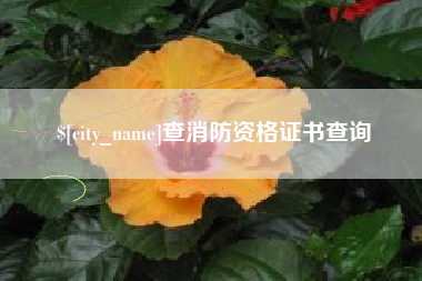 烟台查消防资格证书查询