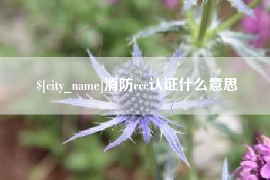 烟台消防ccc认证什么意思