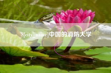 烟台中国的消防大学