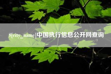 烟台中国执行信息公开网查询