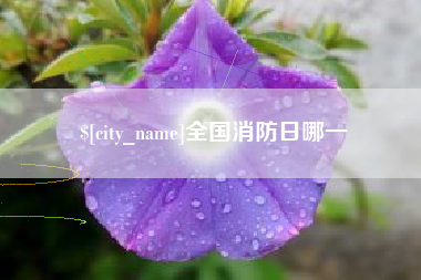 烟台全国消防日哪一