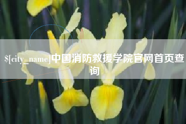 烟台中国消防救援学院官网首页查询