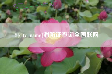 烟台消防证查询全国联网