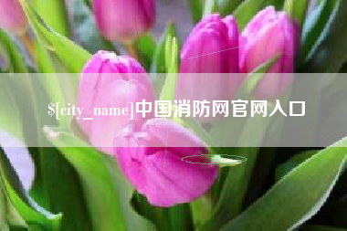 烟台中国消防网官网入口