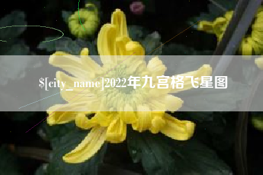 烟台2022年九宫格飞星图