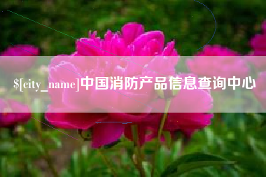 烟台中国消防产品信息查询中心