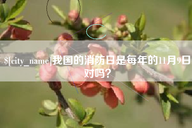 烟台我国的消防日是每年的11月9日对吗？