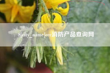 烟台ccc消防产品查询网