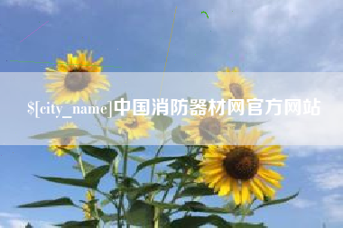烟台中国消防器材网官方网站
