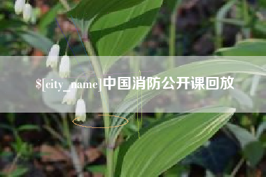 烟台中国消防公开课回放
