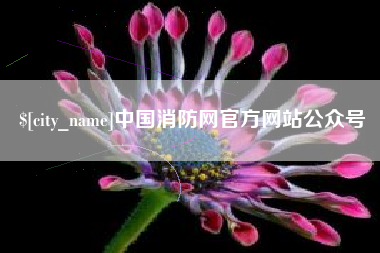 烟台中国消防网官方网站公众号