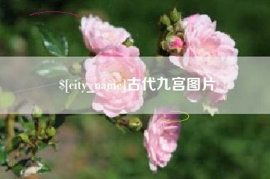 烟台古代九宫图片