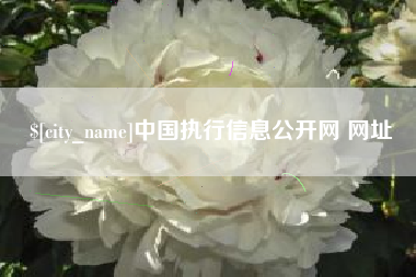 烟台中国执行信息公开网 网址