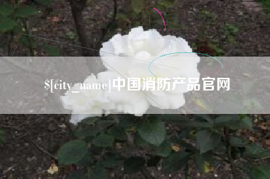 烟台中国消防产品官网
