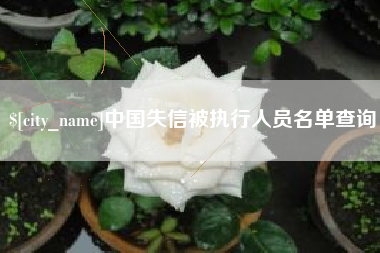 烟台中国失信被执行人员名单查询