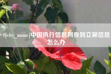 烟台中国执行信息网查到立案信息怎么办