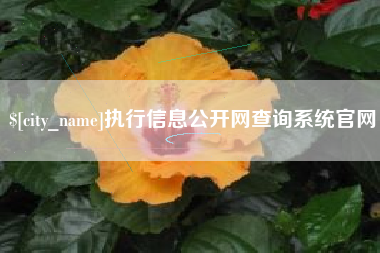 烟台执行信息公开网查询系统官网