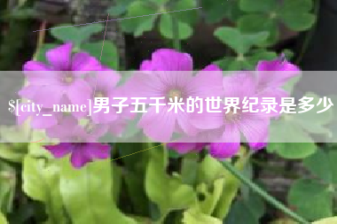 烟台男子五千米的世界纪录是多少