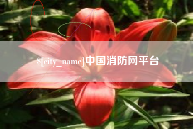 烟台中国消防网平台