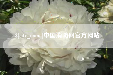 烟台中国消防网官方网站
