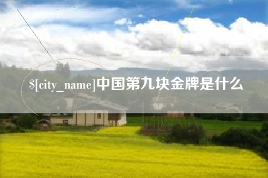 烟台中国第九块金牌是什么