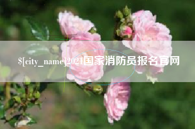 烟台2021国家消防员报名官网