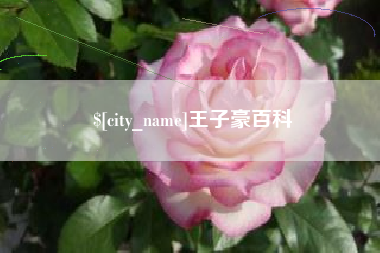 烟台王子豪百科
