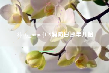 烟台119消防日哪年开始