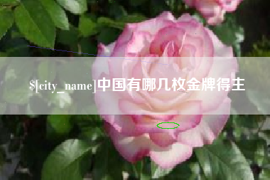 烟台中国有哪几枚金牌得主