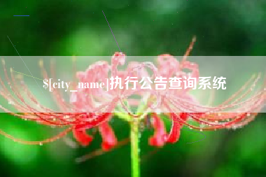 烟台执行公告查询系统