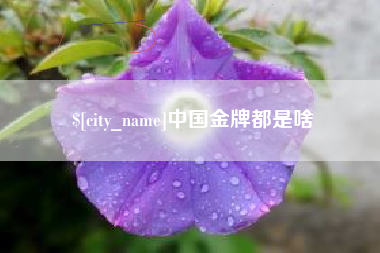 烟台中国金牌都是啥