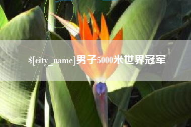 烟台男子5000米世界冠军