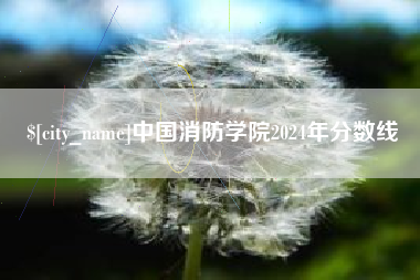烟台中国消防学院2024年分数线
