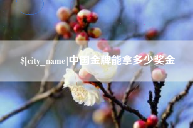 烟台中国金牌能拿多少奖金