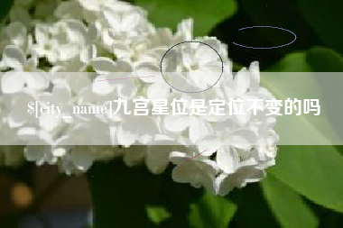 烟台九宫星位是定位不变的吗