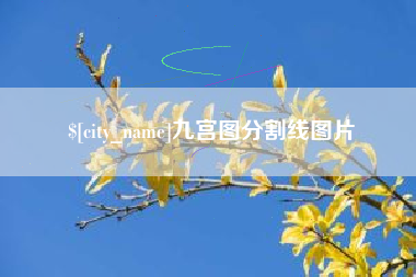 烟台九宫图分割线图片