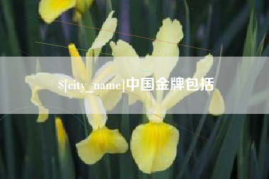 烟台中国金牌包括