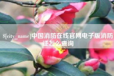 烟台中国消防在线官网电子版消防证怎么查询