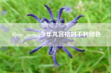 烟台今年九宫格的不利颜色