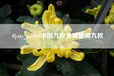 烟台中国九枚金牌是哪九枚