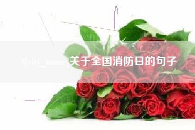 烟台关于全国消防日的句子