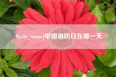烟台中国消防日在哪一天