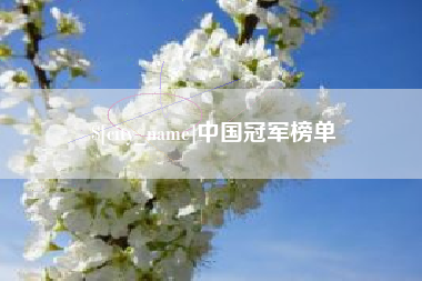 烟台中国冠军榜单