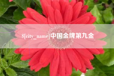 烟台中国金牌第九金