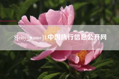 烟台1.中国执行信息公开网